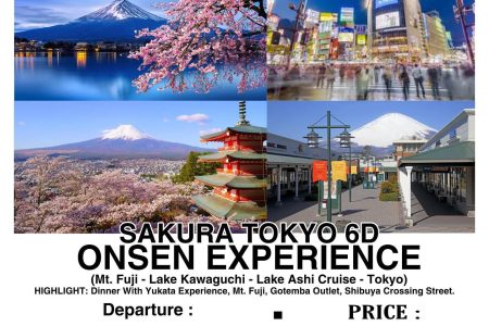 Sakura Tokyo Onsen Experience