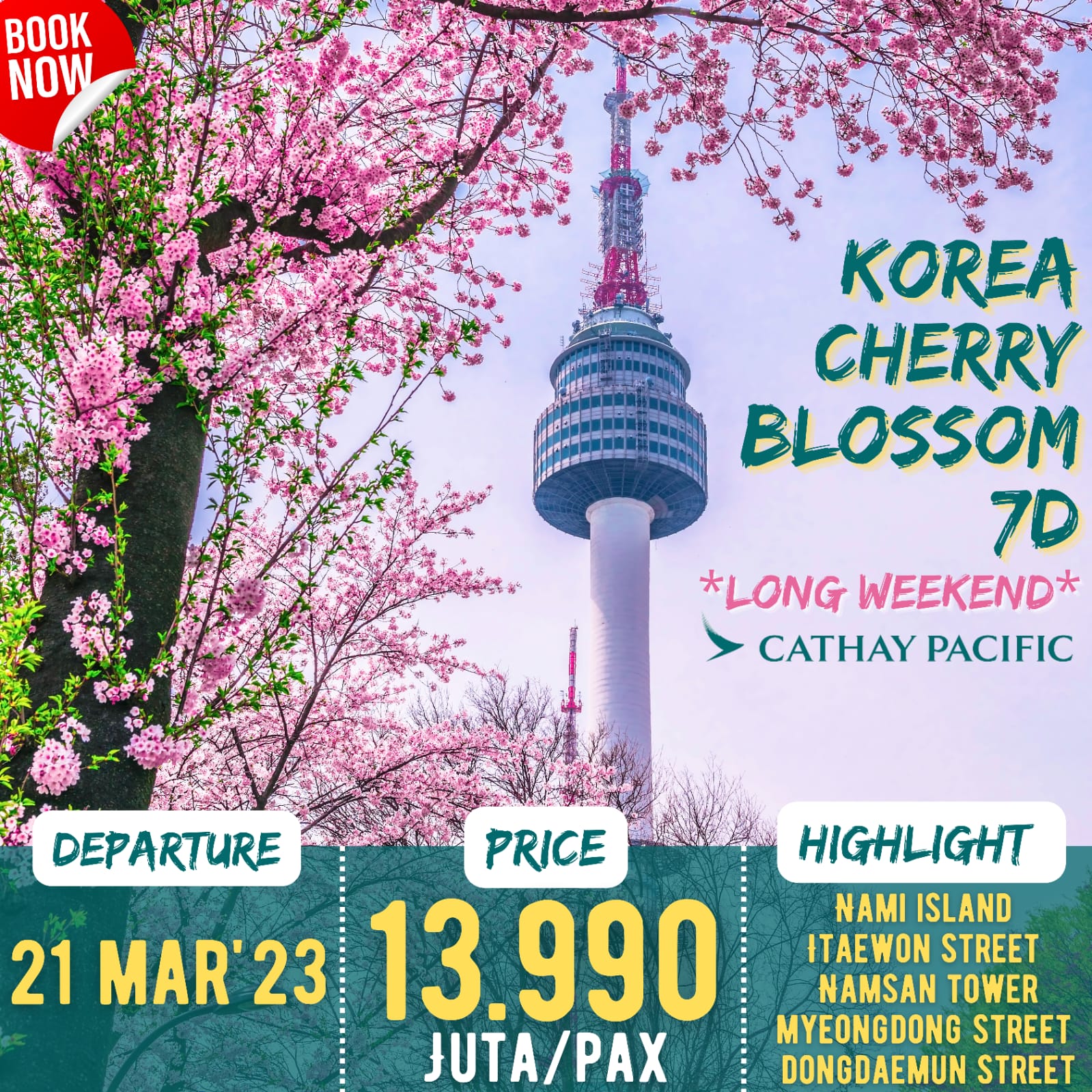 Korea Cherry Blossom + Nami Island